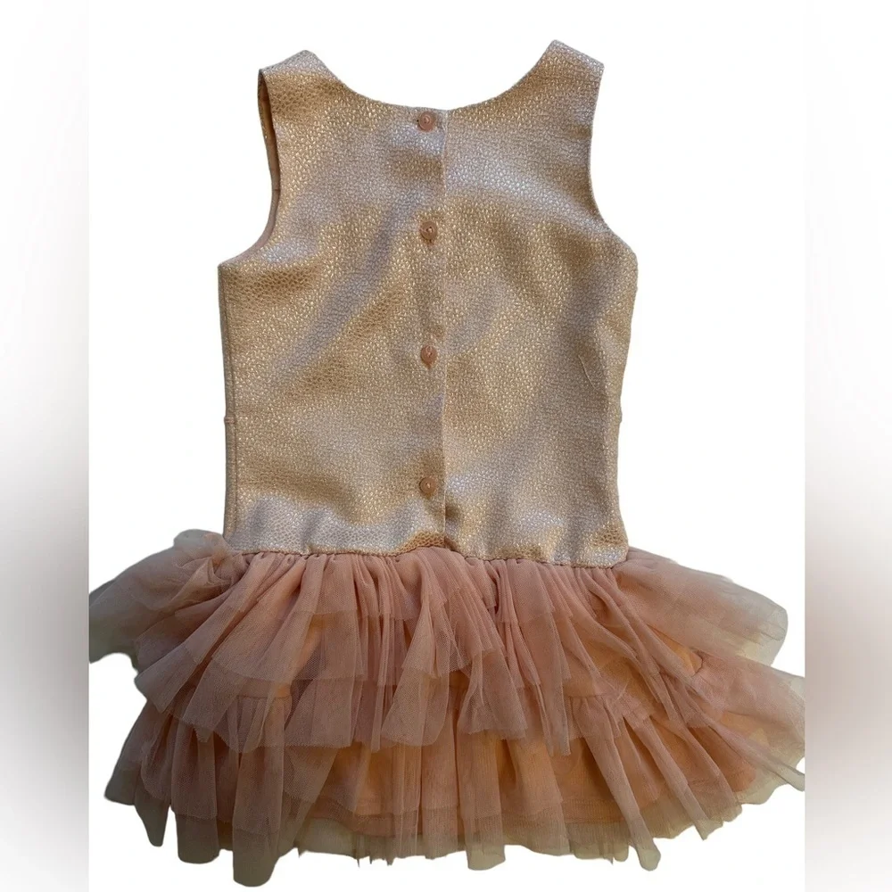 Pink Jeweled Zunie Dress | Size 5T